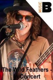 The Wild Feathers