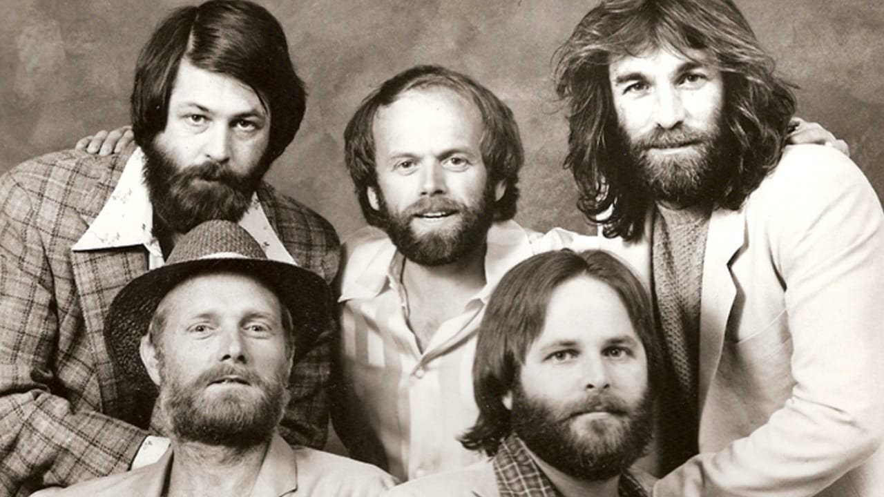 The Beach Boys: An American Band