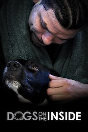 Dogs on the Inside