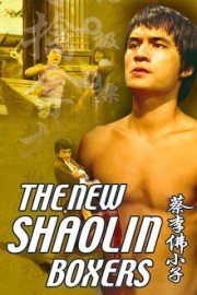 The New Shaolin Boxers