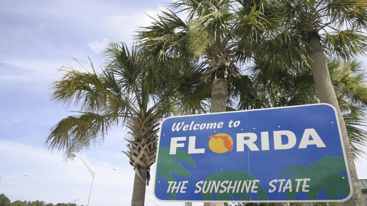 7 Days: Florida