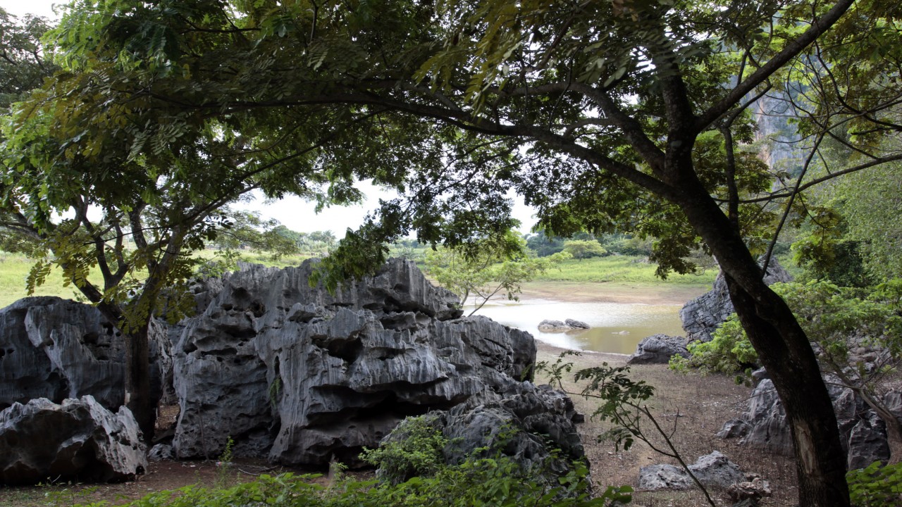 Nature Parks: Cienaga - De Zapata