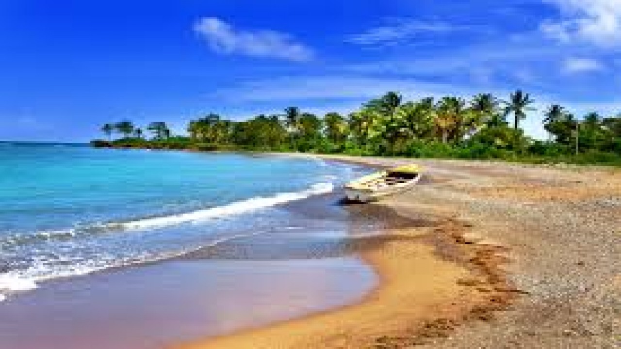 7 Days: Jamaica