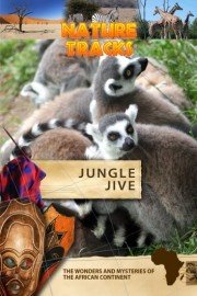 Nature Tracks: Jungle Jive