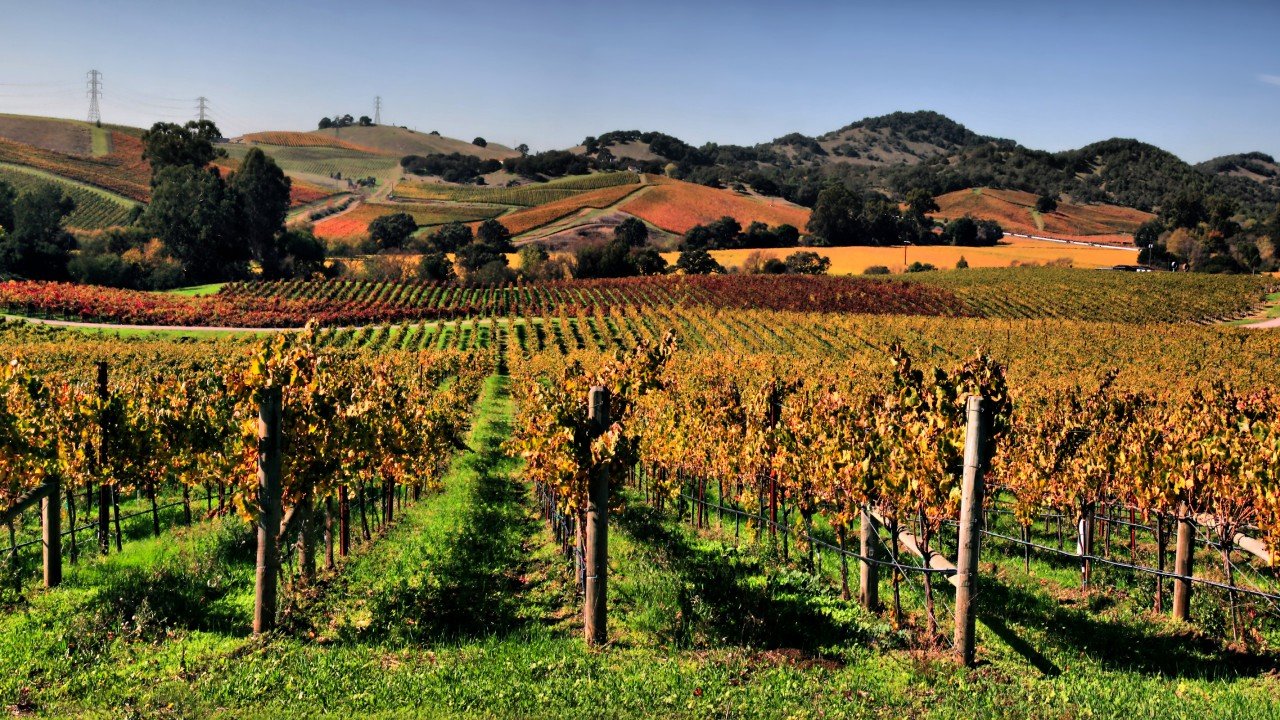 Culinary Travels: Napa Valley Gems