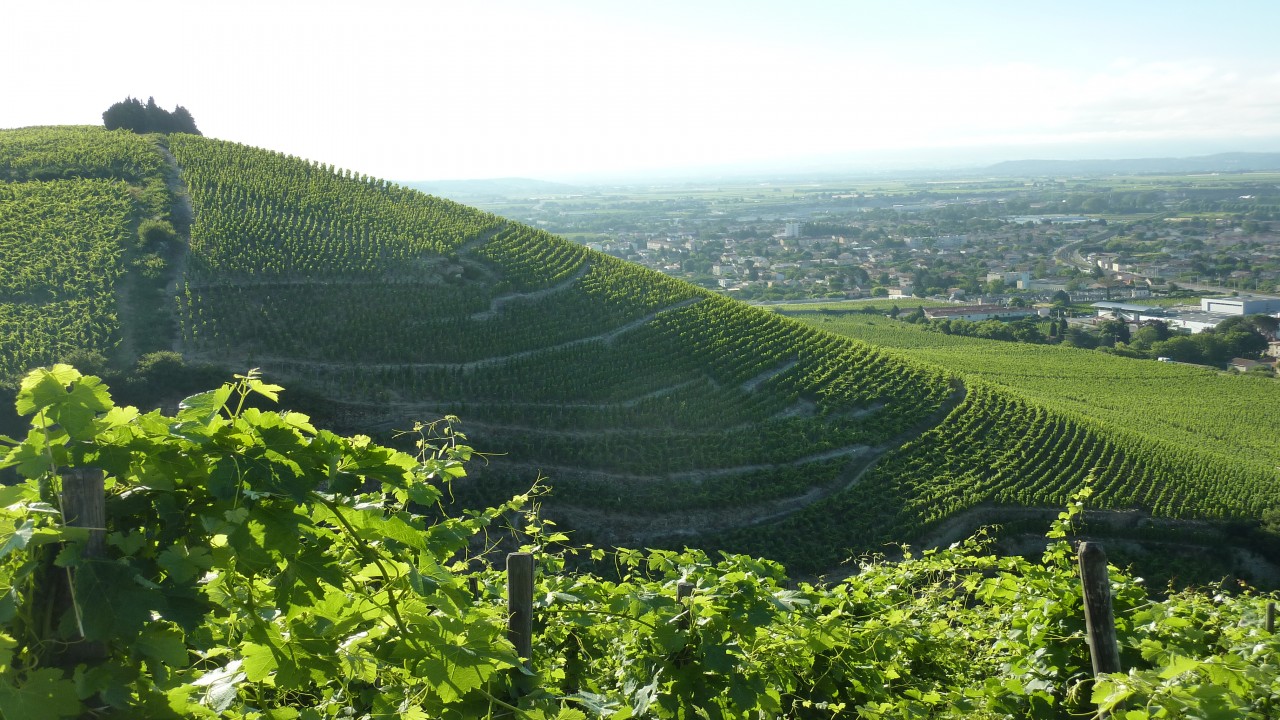 Culinary Travels: The Rhone Valley