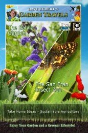 Garden Travels: The Salvia Garden and The San Fran Insect Zoo