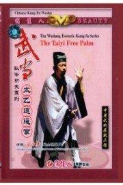 The Wudang - The Taiyi Free Palm