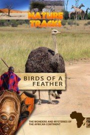 Nature Tracks: Birds of a Feather