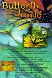 Butterfly World: Jewels Of The Sky