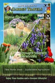 Garden Travels: Alpine Garden and Drought Tolerant Perennials