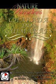 Nature Wonders: Chapada Dos Guimaraes
