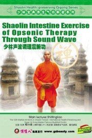 Shaolin Intestine Exercise of Opsonic Therapy Through Sound Wave