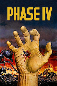 Phase IV