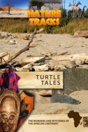 Nature Tracks: Turtle Tales