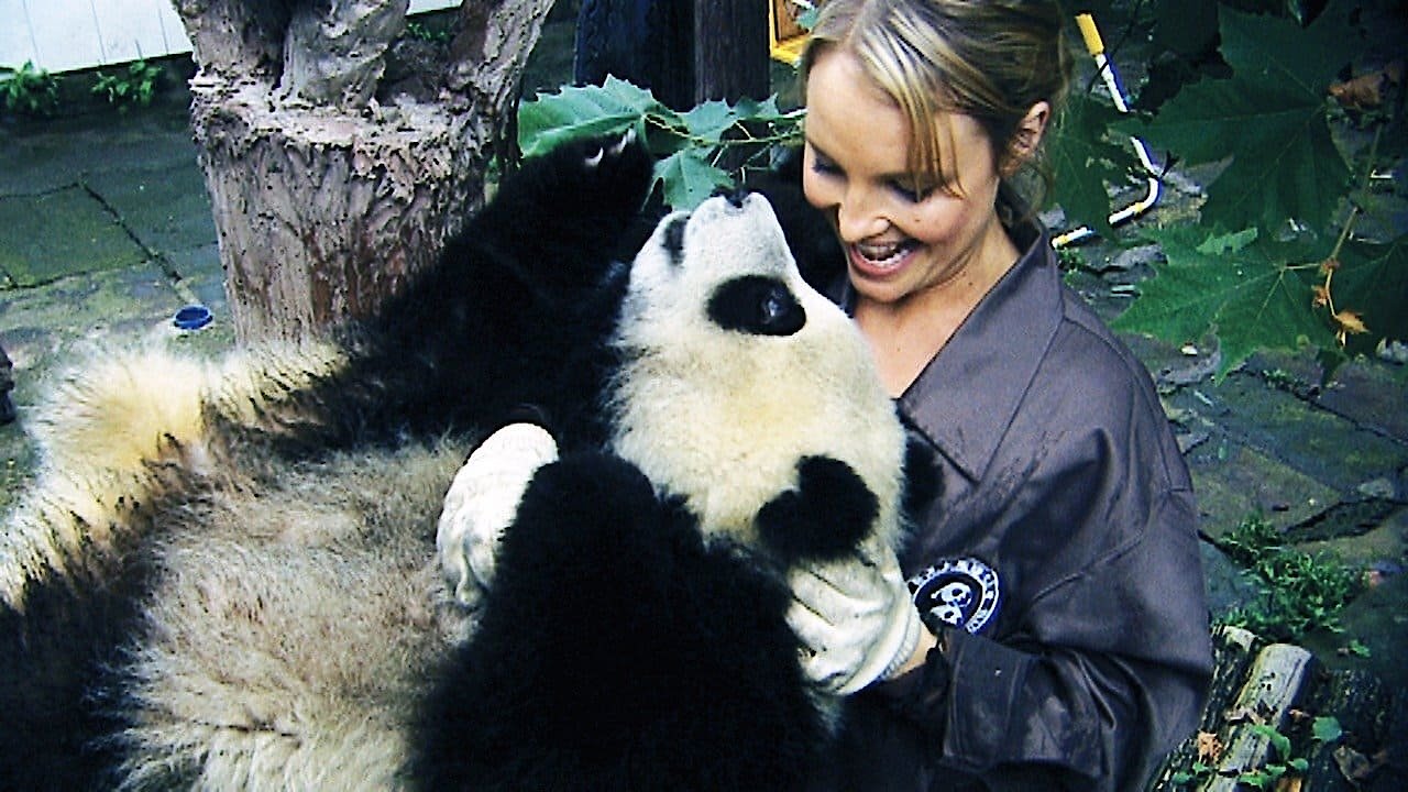 Sneezing Baby Panda