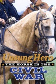 Unsung Hero: The Horse in the Civil War