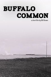 Buffalo Common