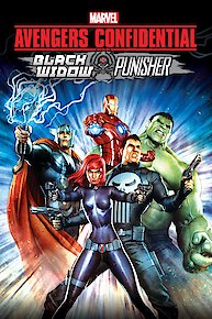 Avengers Confidential: Black Widow & Punisher