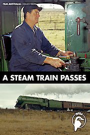 A Steam Train Passes