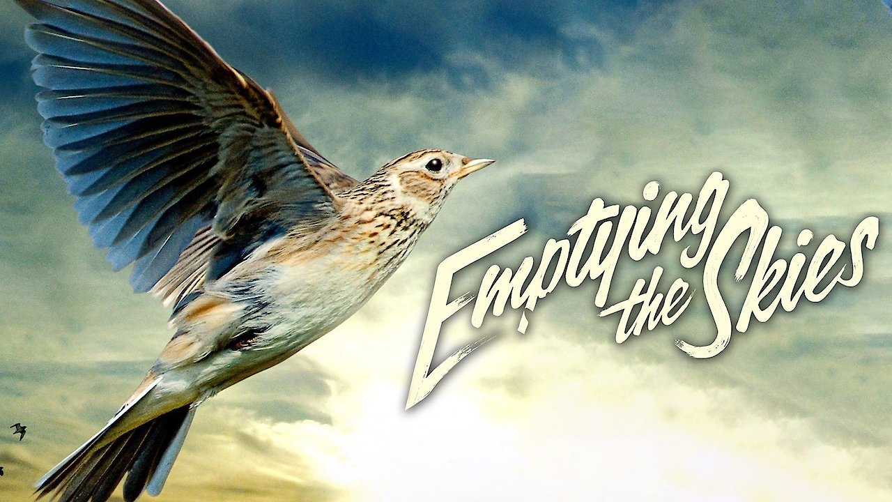 Emptying the Skies