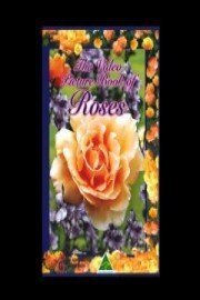 The Video Picture Book Of Roses