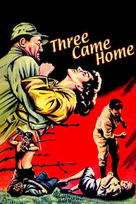 Three Came Home