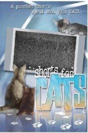 Shorts for Cats