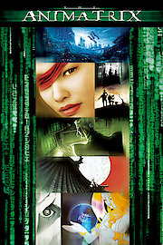 The Animatrix