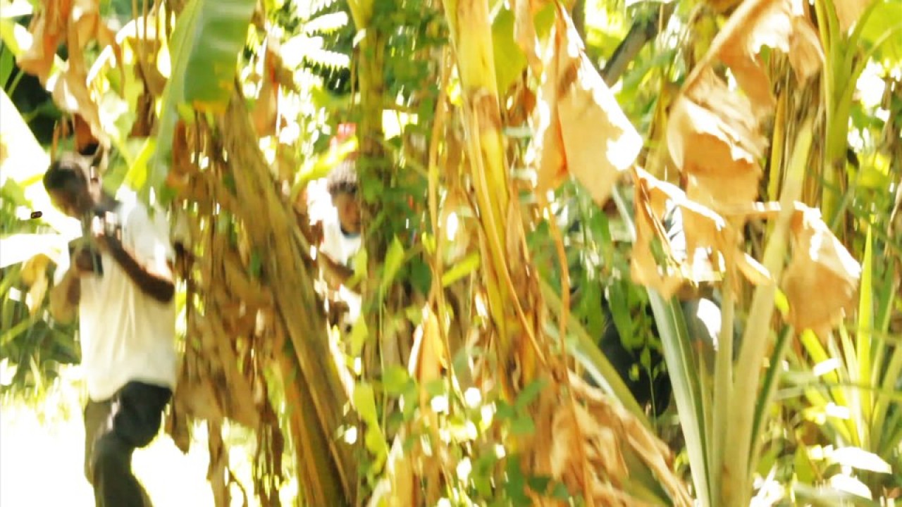 The Heavenly side of Hell