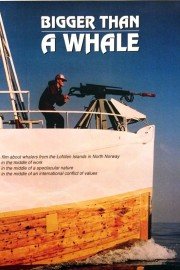 Bigger than a whale