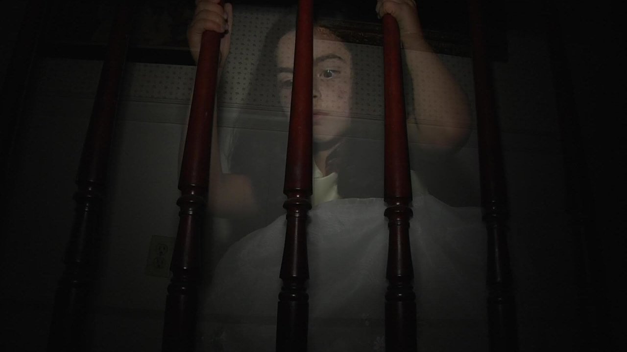 Paranormal Captivity