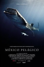 Mexico Pelagico