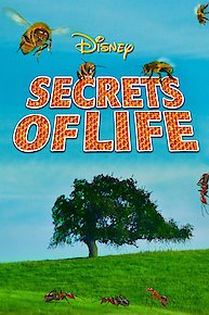 Secrets of Life