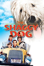 The Shaggy Dog