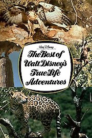 The Best Of Walt Disney's True-Life Adventures