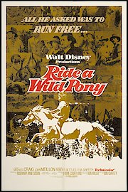 Ride a Wild Pony