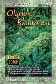 Olympic Rainforest