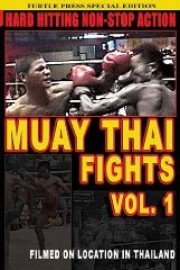 Mauy Thai Fights Volume 1