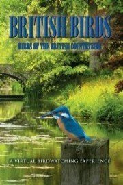 British Birds: Birds of the British Countryside