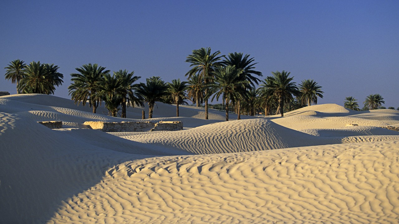 Vista Point TUNISIAN OASIS Tunisia