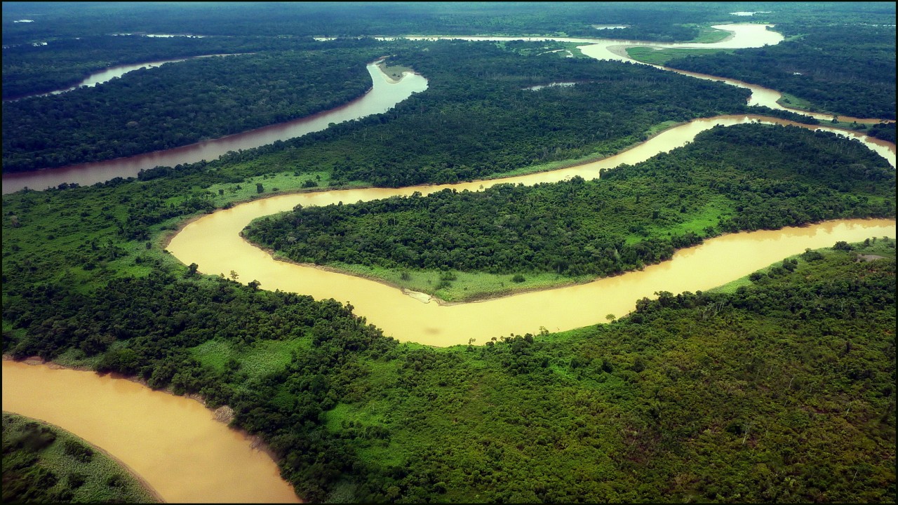 Vista Point BORNEO