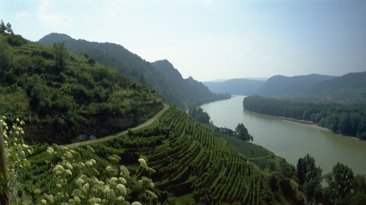 Vista Point WACHAU