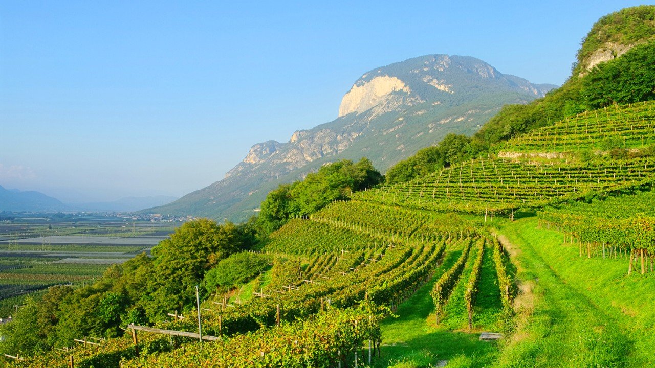 Vista Point ALTO ADIGE Italy