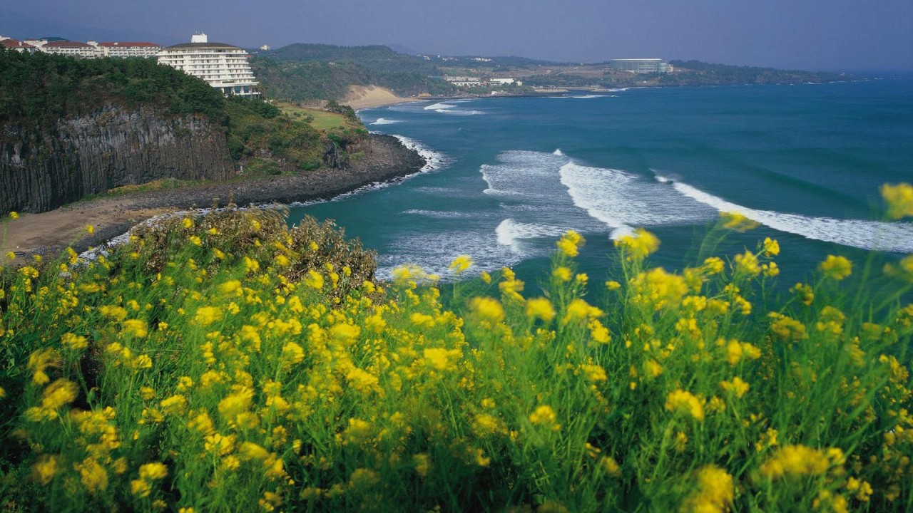 Vista Point JEJU ISLAND