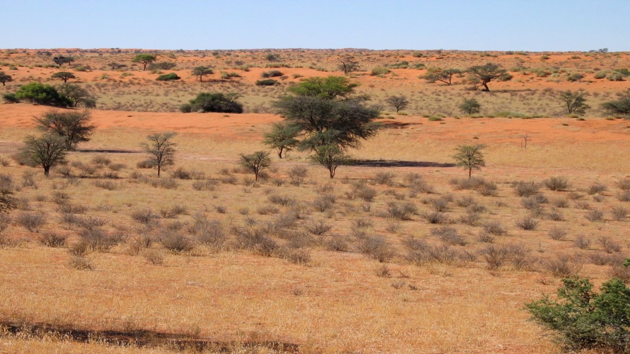 On Tour Exploring the Extraordinary: Kalahari