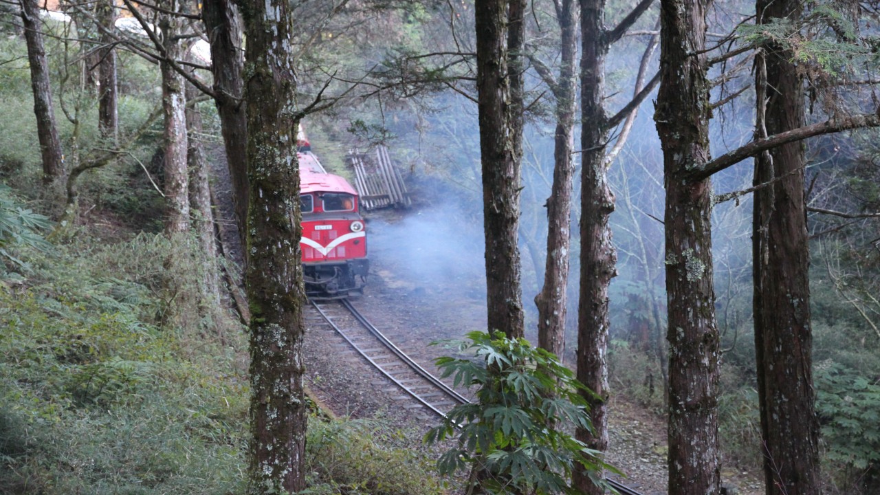 On Tour Exploring the Extraordinary: The Alishan Forest Railway