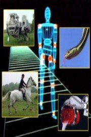 Nature's Technology