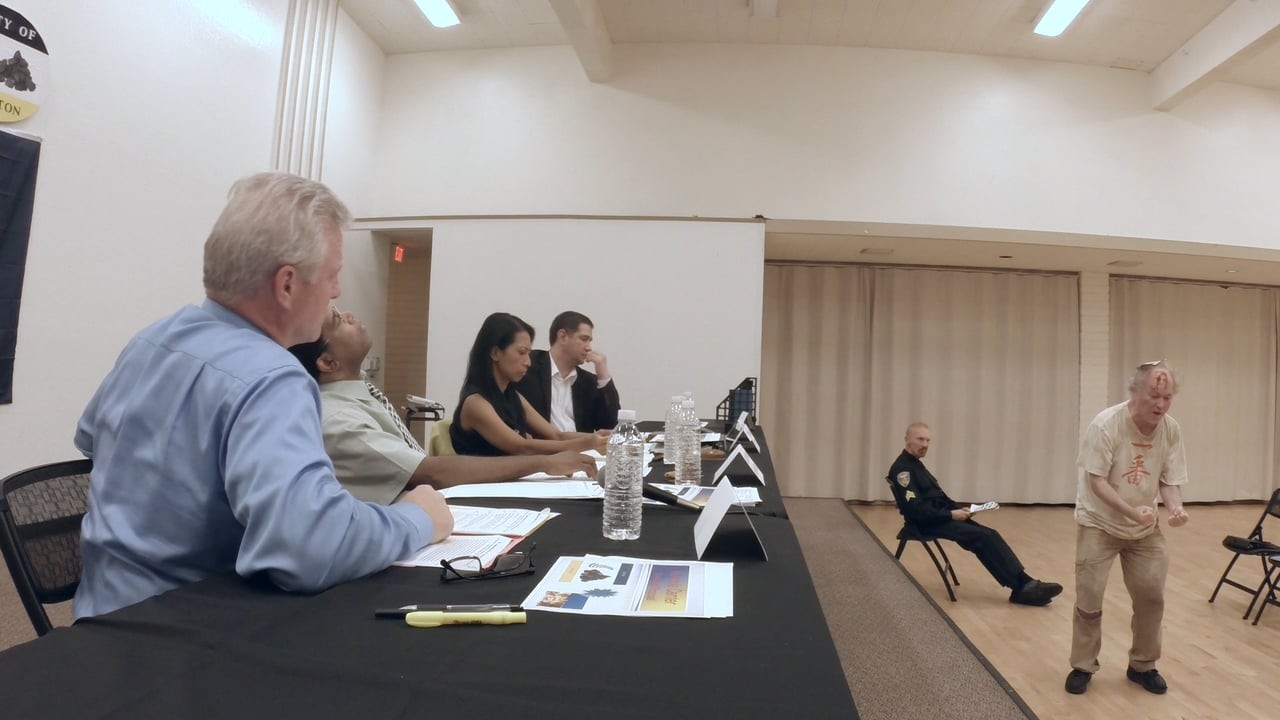 City Council: Parrhesia in the Commons