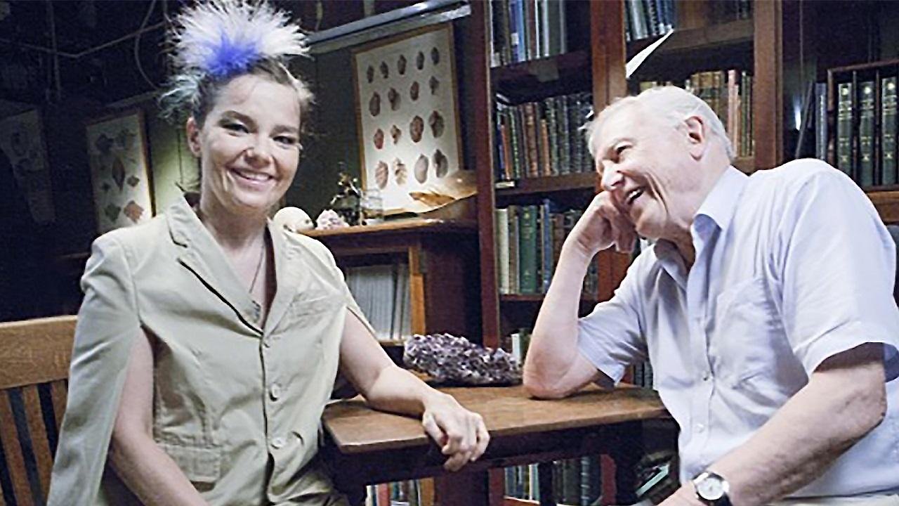 When Bjork Met Attenborough